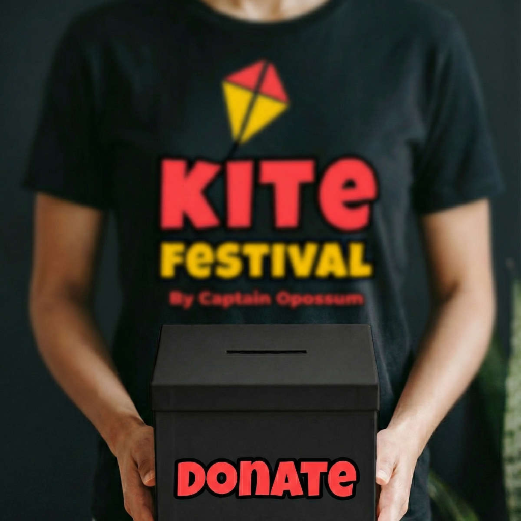 kite festival donations box